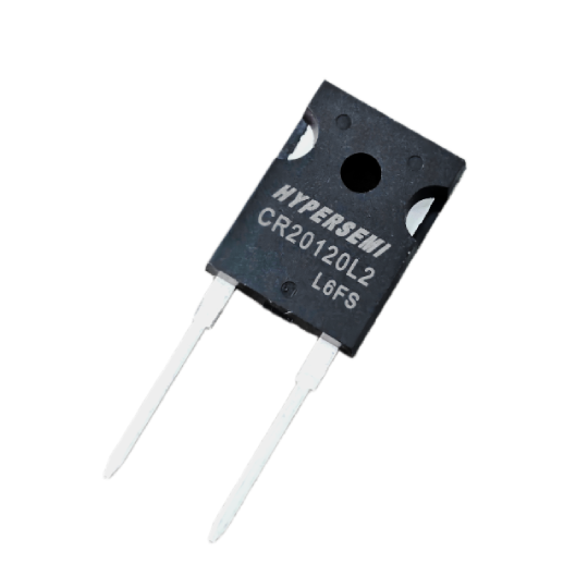 CR3065L2X100